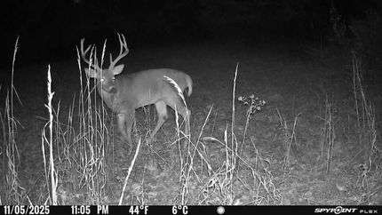 Hunting Property for sale in Jefferson County, Illinois