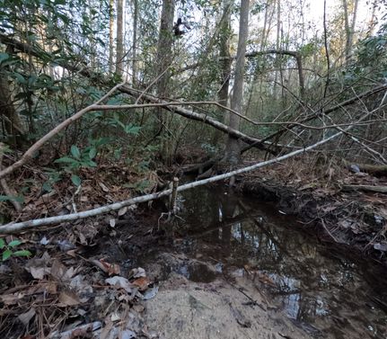 Hunting Property for sale in Marion County, Mississippi