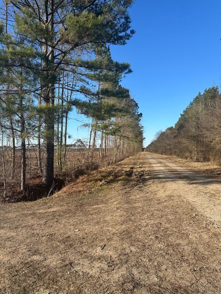 Land for sale in Pitt County, North Carolina