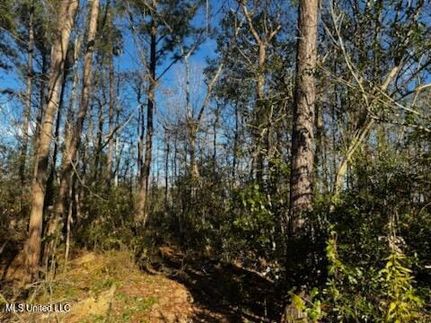 Homesite for sale in Hancock County, Mississippi