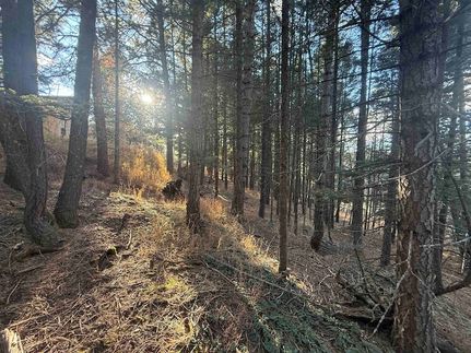 Undeveloped Land for sale in Colfax County, New Mexico