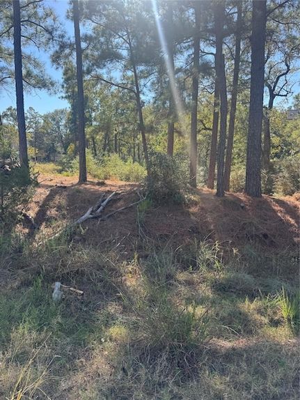 Land for sale in Bastrop County, Texas