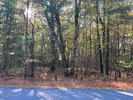 Homesite for sale in Pike County, Pennsylvania