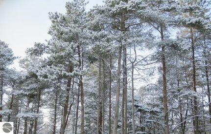 Land for sale in Grand Traverse County, Michigan