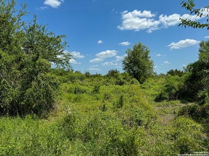 Land for sale in Live Oak County, Texas