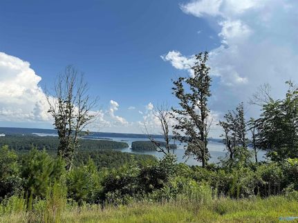 Land for sale in Marshall County, Alabama