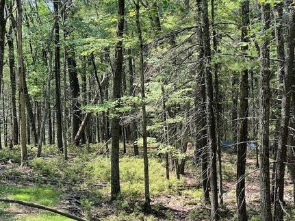 Undeveloped Land for sale in Sullivan County, New York