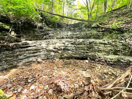 Undeveloped Land for sale in McDonald County, Missouri