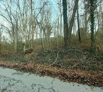 Homesite for sale in Campbell County, Tennessee