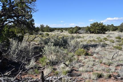 Homesite for sale in Coconino County, Arizona