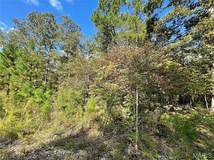 Land for sale in Butler County, Missouri