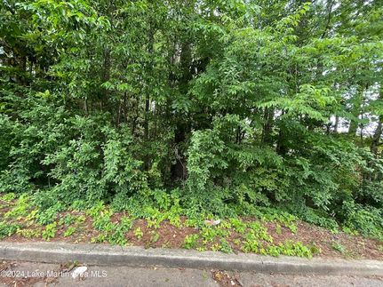 Land for sale in Tallapoosa County, Alabama