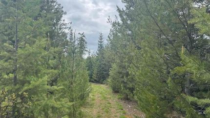 Land for sale in Clearwater County, Idaho