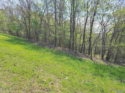 Land for sale in Jackson County, Alabama