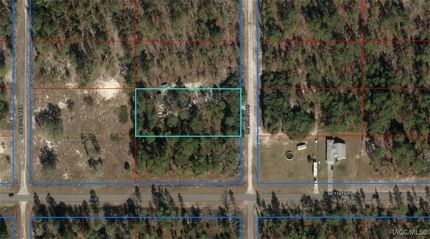 Undeveloped Land for sale in Levy County, Florida