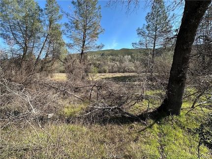 Land for sale in Lake County, California