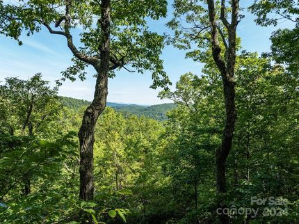 Homesite for sale in Henderson County, North Carolina