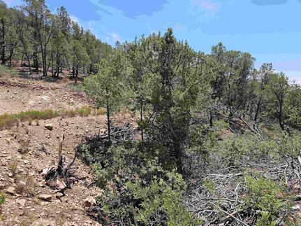 Homesite for sale in Otero County, New Mexico