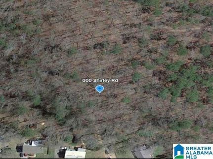 Undeveloped Land for sale in Saint Clair County, Alabama