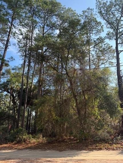 Land for sale in Marion County, Florida