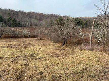 Homesite for sale in Susquehanna County, Pennsylvania