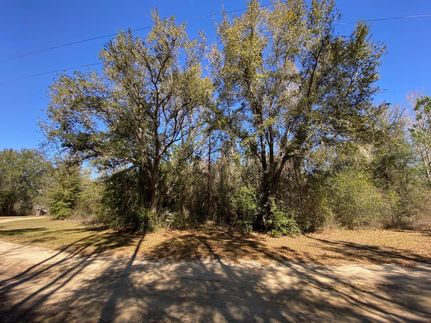 Land for sale in Calhoun County, Florida