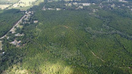 Land for sale in Mobile County, Alabama