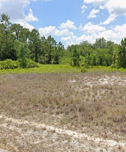 Undeveloped Land for sale in Lee County, Florida