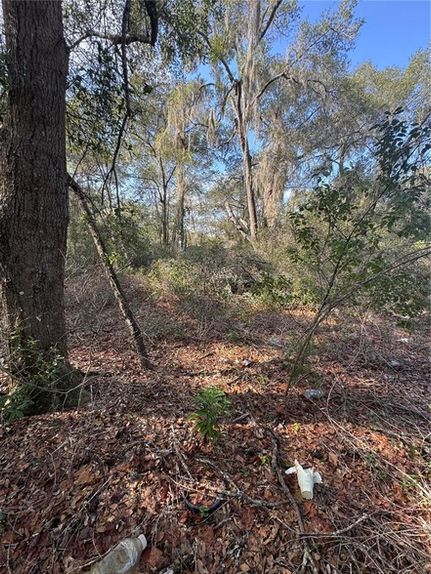 Homesite for sale in Marion County, Florida