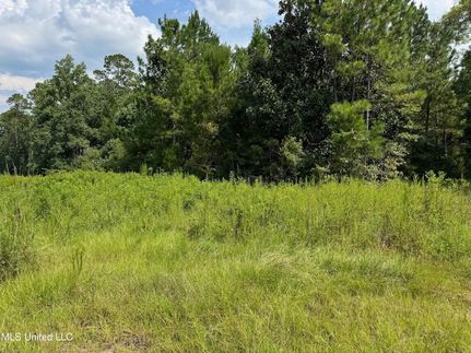 Land for sale in Pearl River County, Mississippi