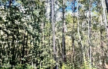 Land for sale in Harrison County, Mississippi