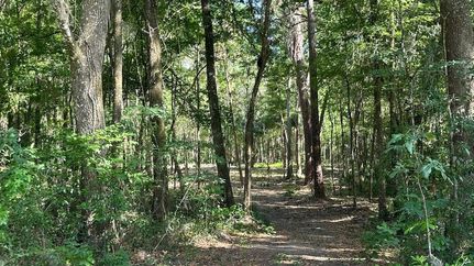 Homesite for sale in Marion County, Florida