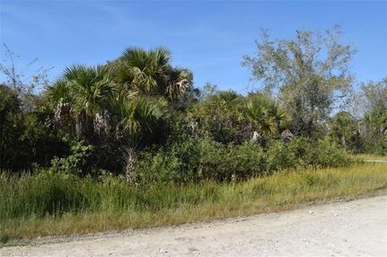 Land for sale in Lee County, Florida
