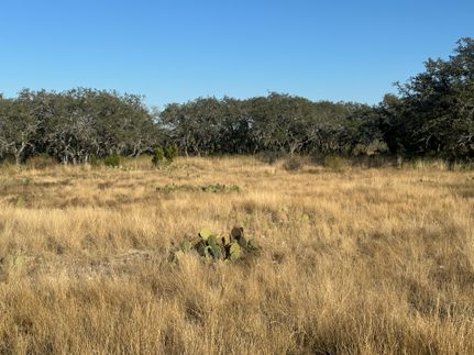 Farm and Ranch for sale in Sutton County, Texas