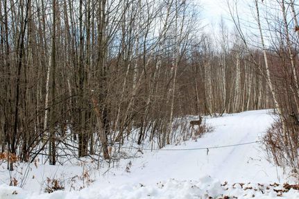 Land for sale in Clark County, Wisconsin