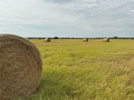 Farm and Ranch for sale in San Saba County, Texas