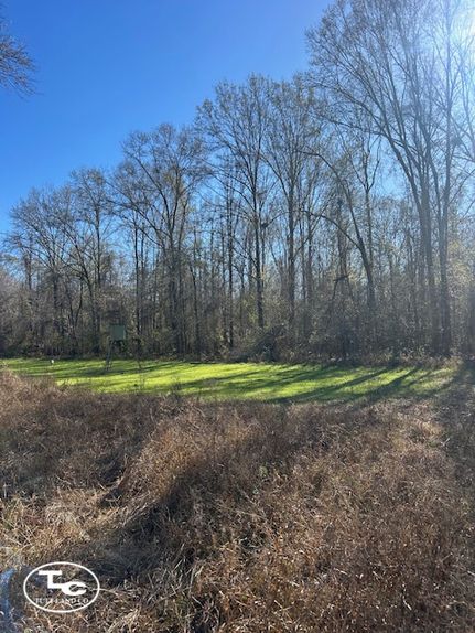 Land for sale in George County, Mississippi