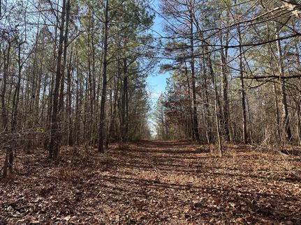 Recreational Property for sale in Talladega County, Alabama