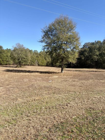Land for sale in Butler County, Alabama