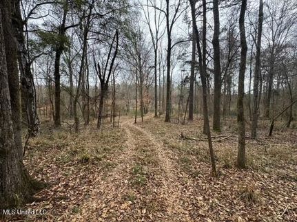Undeveloped Land for sale in Franklin County, Mississippi