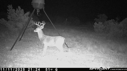 Land for sale in Val Verde County, Texas