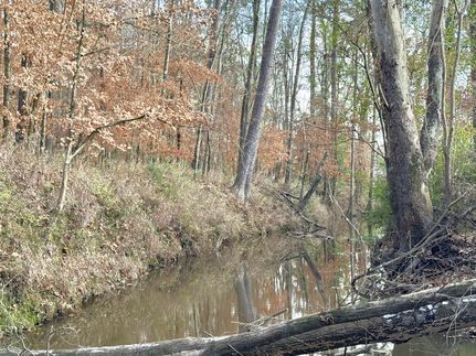 Hunting Property for sale in Tyler County, Texas