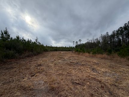 Timberland Property for sale in Washington County, Alabama