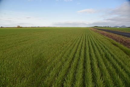 Land for sale in Linn County, Oregon