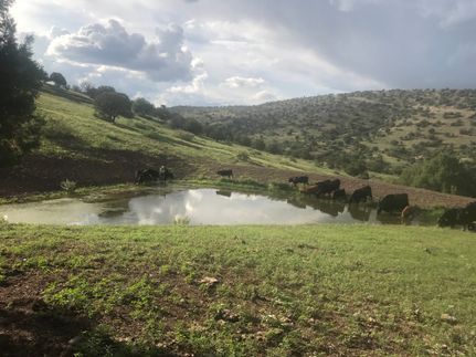 House for sale in Grant County, New Mexico