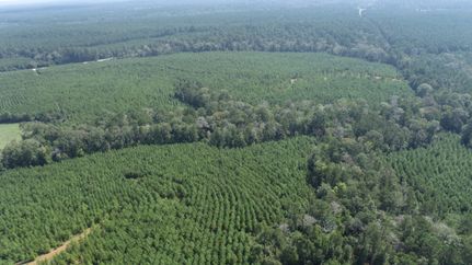 Farm and Ranch for sale in San Augustine County, Texas