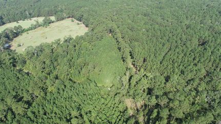 Homesite for sale in Sabine County, Texas