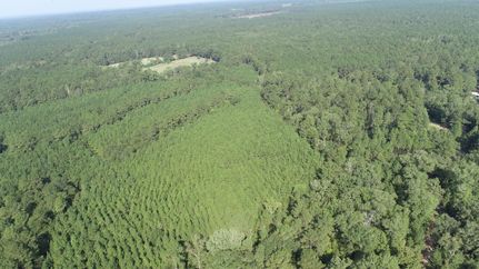 Land for sale in Sabine County, Texas