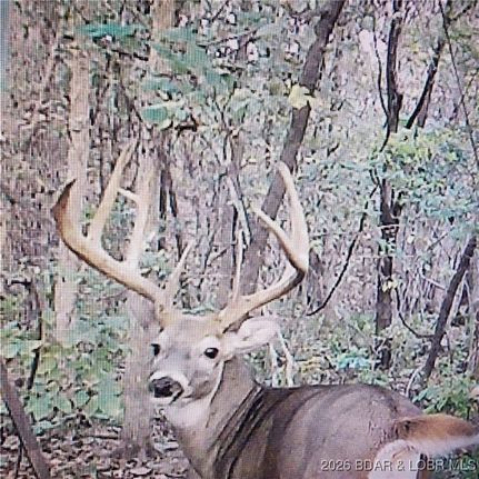 Land for sale in Camden County, Missouri