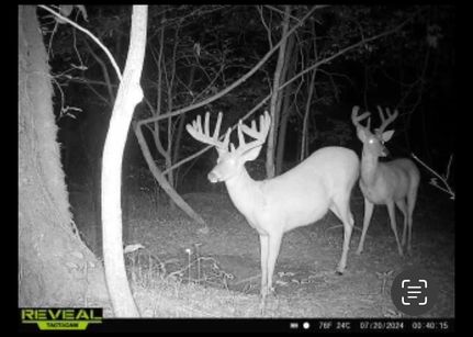 Timberland Property for sale in Wayne County, Illinois